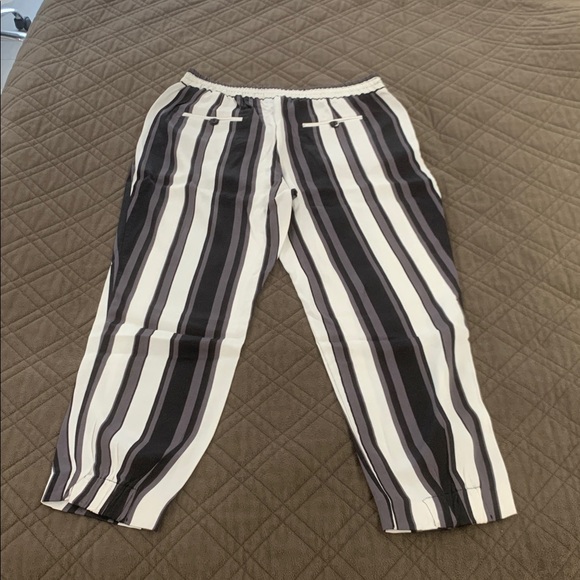 Zara NWOT Basic Collection Pull on Jogger Pants size L - Picture 10 of 16